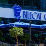 Blueсat Coffee
